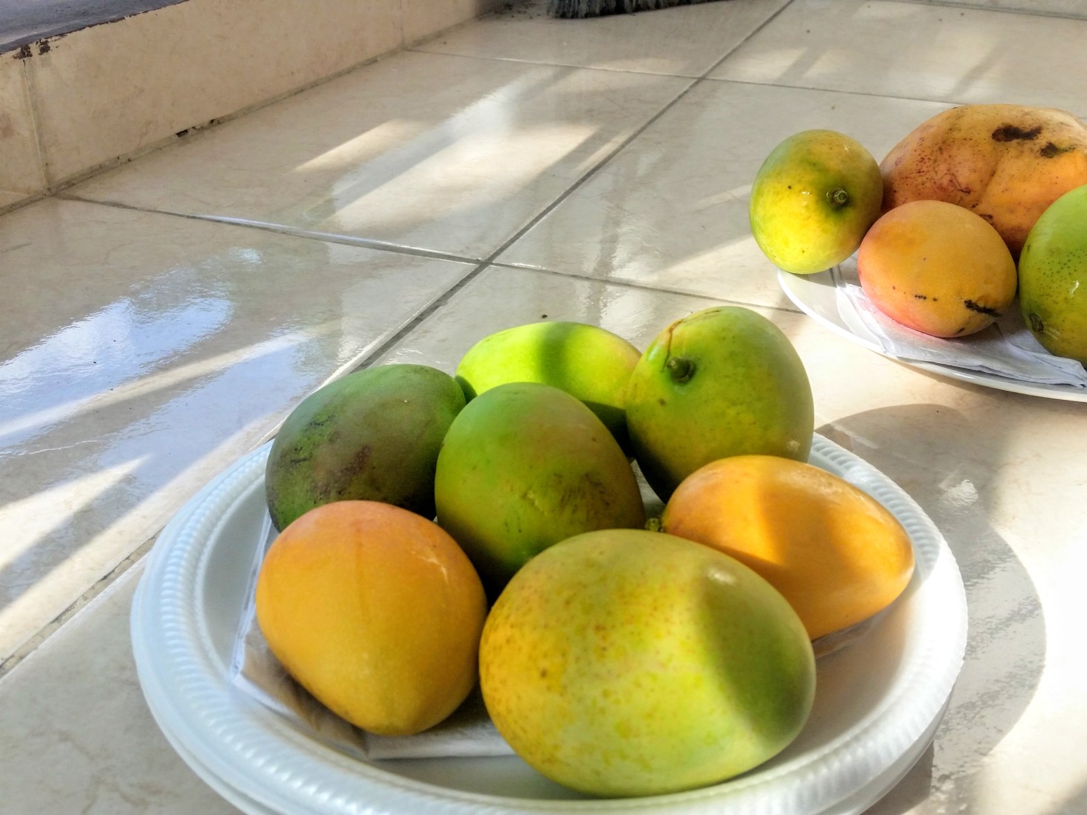 Few green-yellow mangoes in a dish